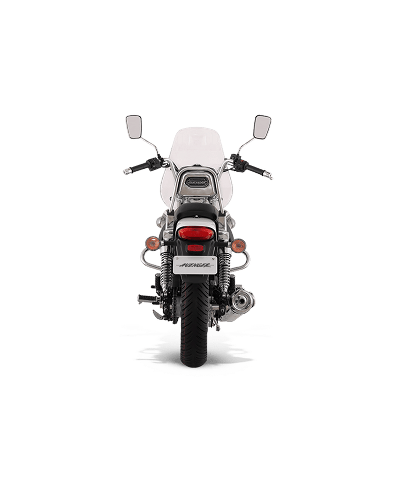 Bajaj Avenger Cruise 220 - Image 5