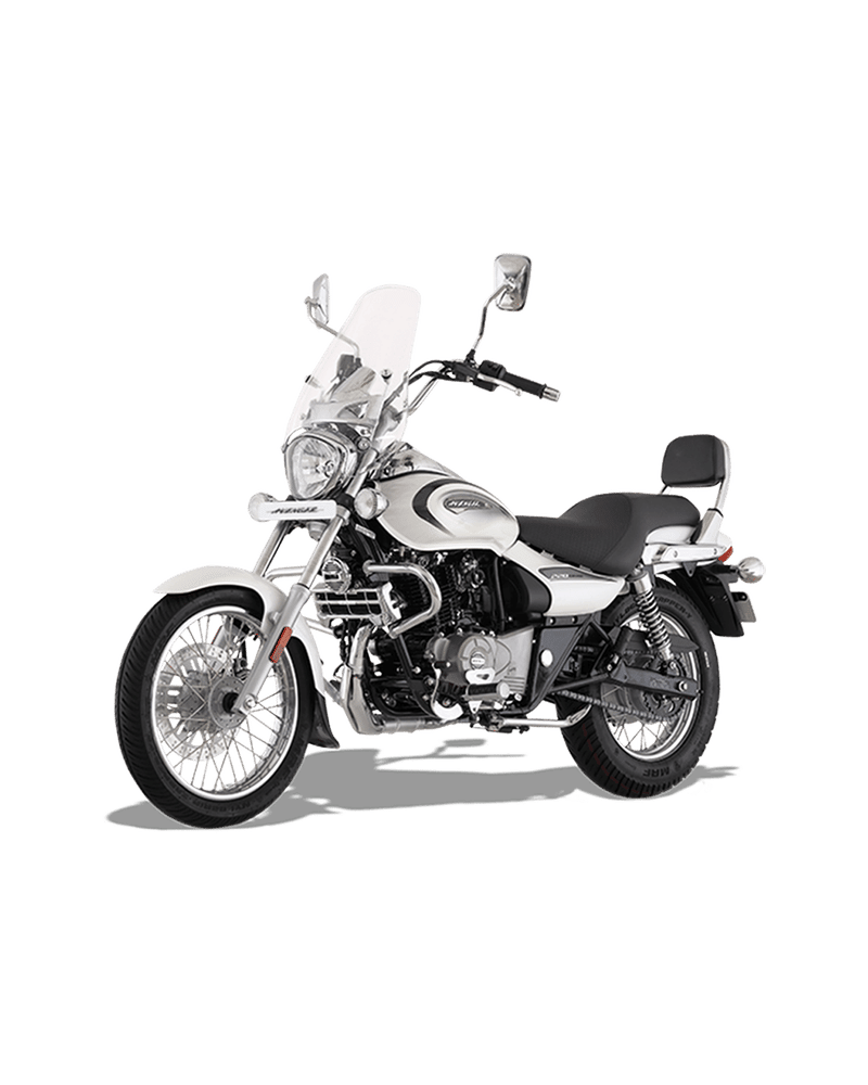 Bajaj Avenger Cruise 220 - Image 2