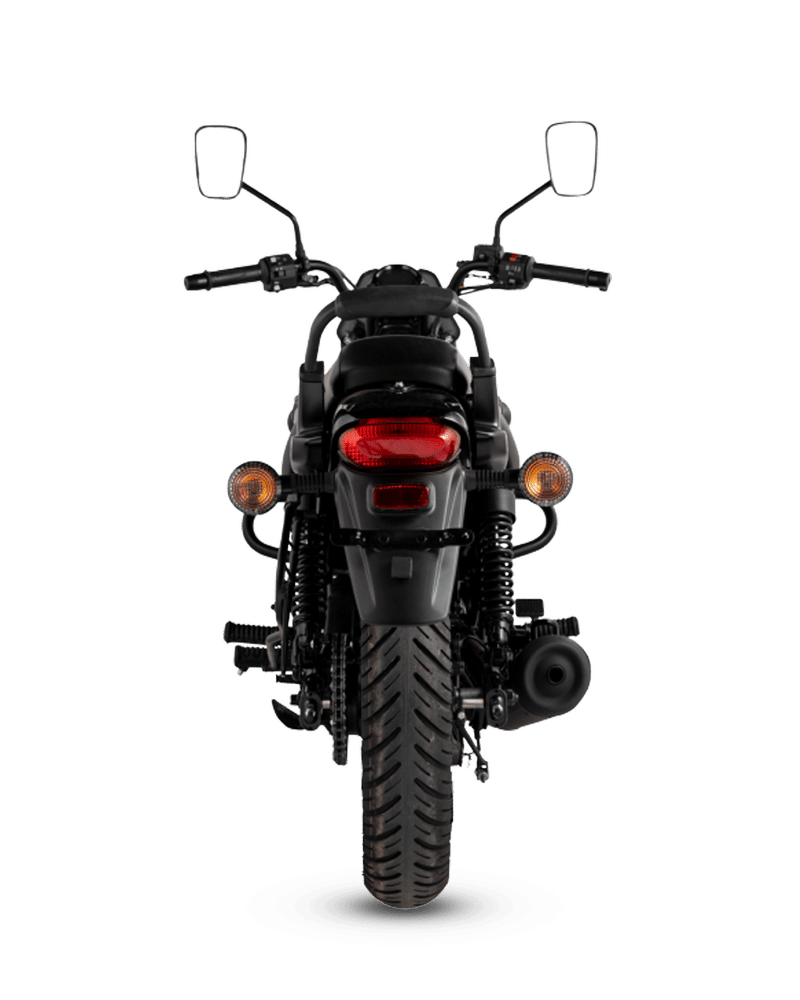 Bajaj Avenger Street 160 - Image 3