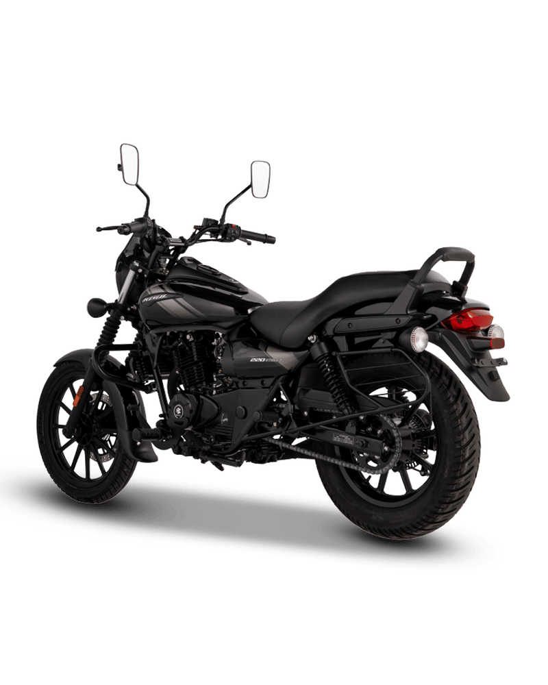 Bajaj Avenger Street 160 - Image 2