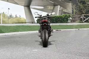 Ducati Monster Rear Profile image
