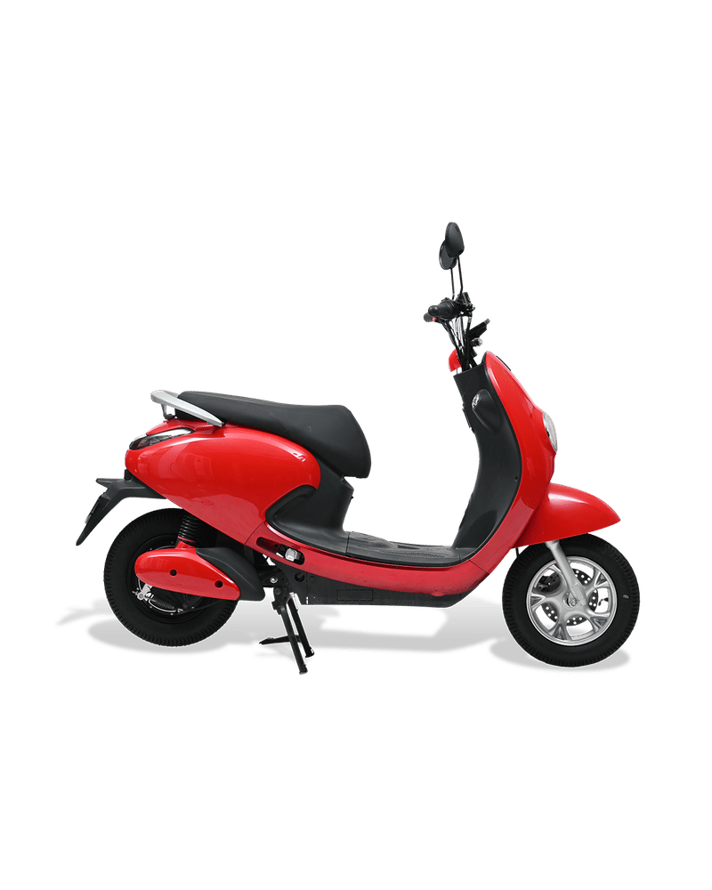 Evolet Pony - Image 3