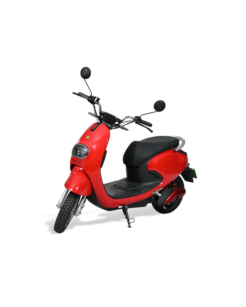 Evolet Pony - Image 1