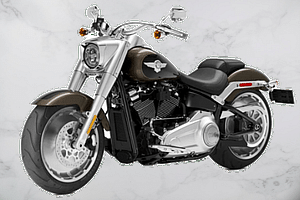 Harley-Davidson Fat Boy 114 Front Profile image