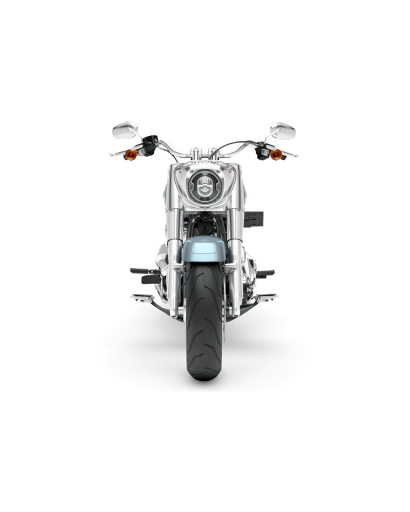 Harley-Davidson Fat Boy - Image 2