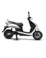 Wroley E-Scooter Platina