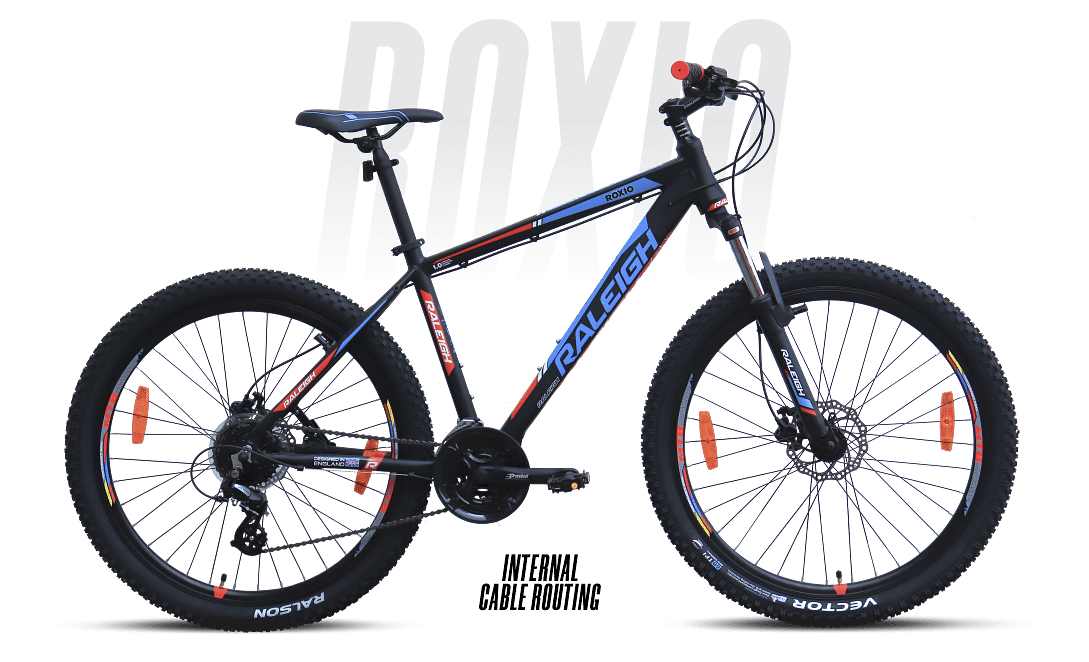 Raleigh daytona mountain discount bike