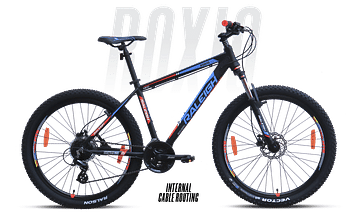 Raleigh Roxio 10 29 cycle
