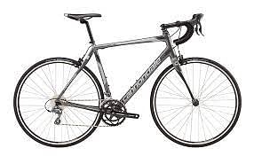Cannondale Synapse Alloy Claris 8 cycle
