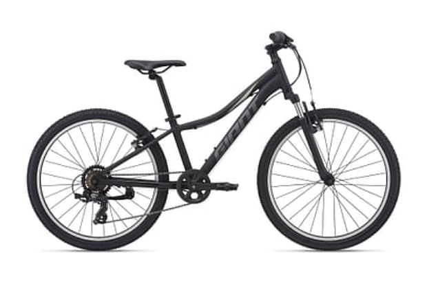 Mountain discount giant bikes