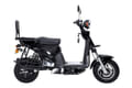 Fidato Evtech Loder STD image