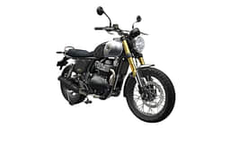 Royal Enfield Bear 650 Petrol Green and Wild Honey image