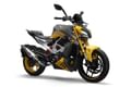 TVS Apache RTR 310 Anniversary Edition image