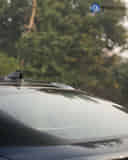 Rear Windshield / Windscreen