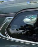 Rear Quarter Glass