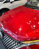 Closed Hood / Bonnet