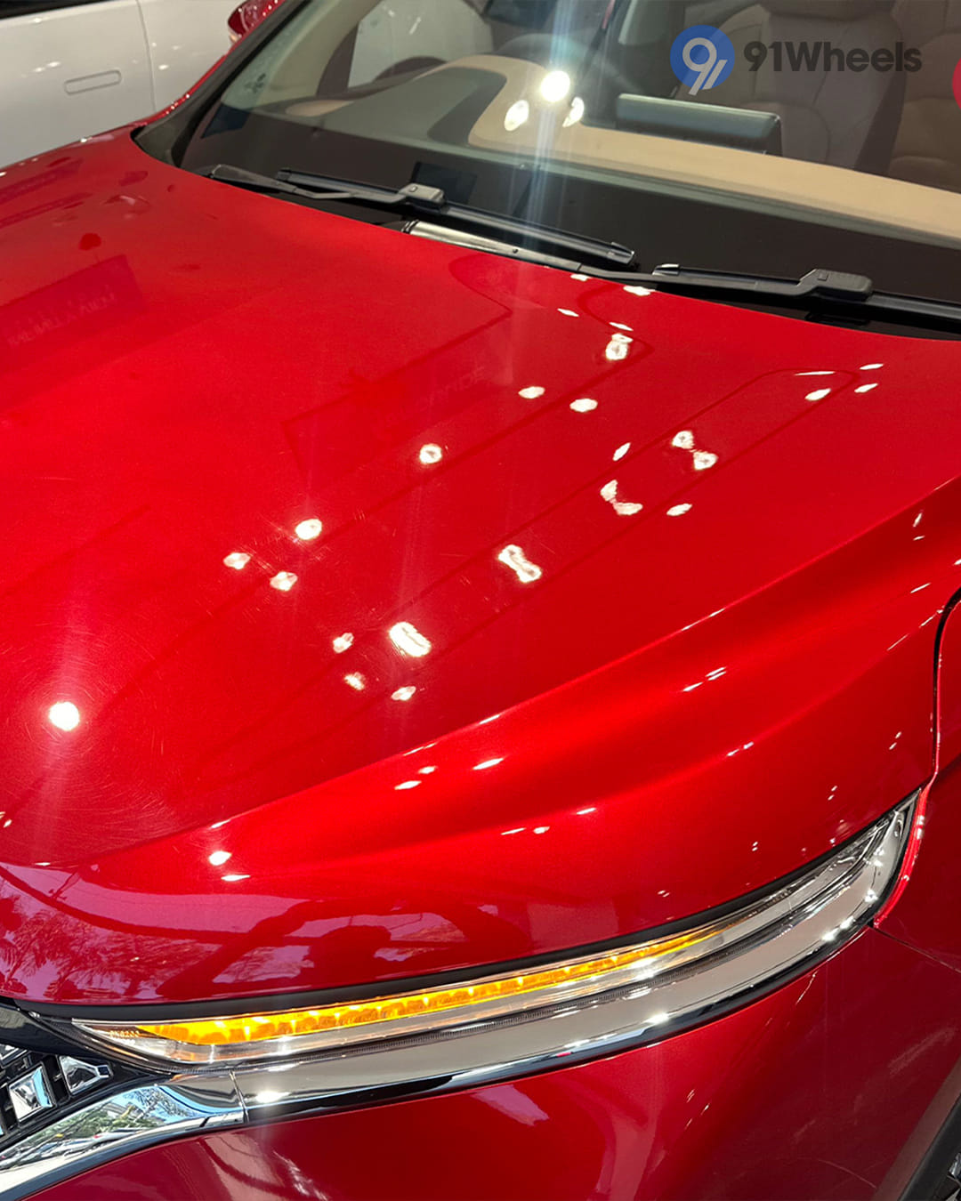 Headlights & Tail-lights - 5