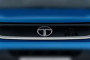 Tata Punch Grille image