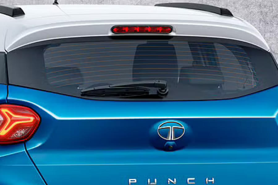 Rear Profile
