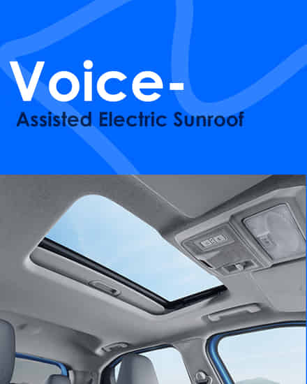 Tata Punch Voice-Assisted Electric Sunroof