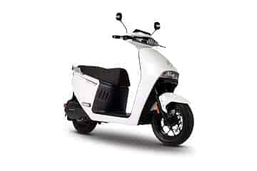 Elite in White Elite in White