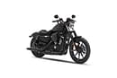 Harley-Davidson Iron 883  in Black Denim