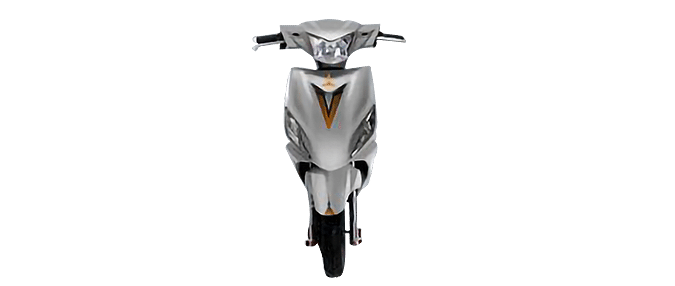 Wroley E-Scooter Platina  in Grey