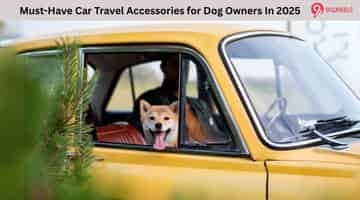 Must-Have Car Travel Accessories For Dog Owners In 2025