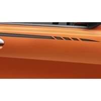 Paint Protection Film