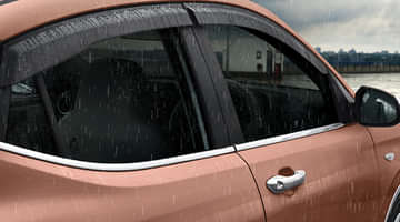 Door Visor