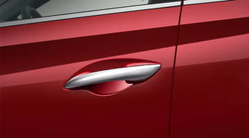 Door Handle Garnish