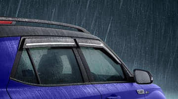 Door Visor