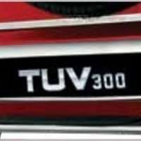 Licence Plate Chrome Bezel