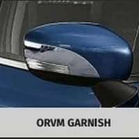 Orvm Garnish