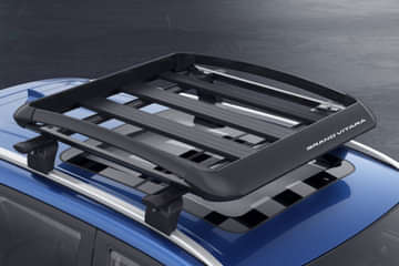 Roof Carrier Rails