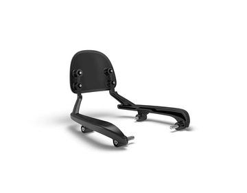 Passenger Backrest Mounts & Pad