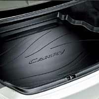 Luggage Tray