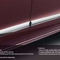 Side Molding Chrome