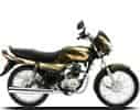 Ct 100 2015-2022 Profile Image