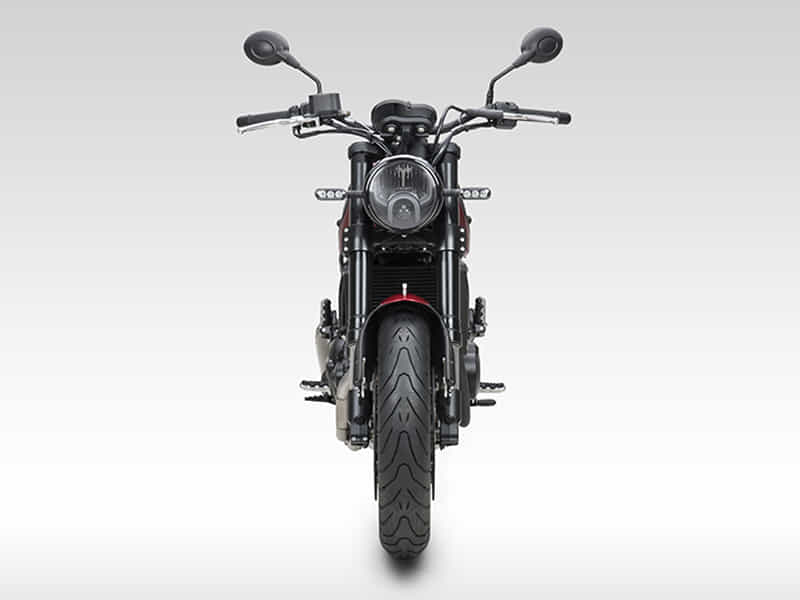 Benelli Leoncino Scrambler 2020-2024 image