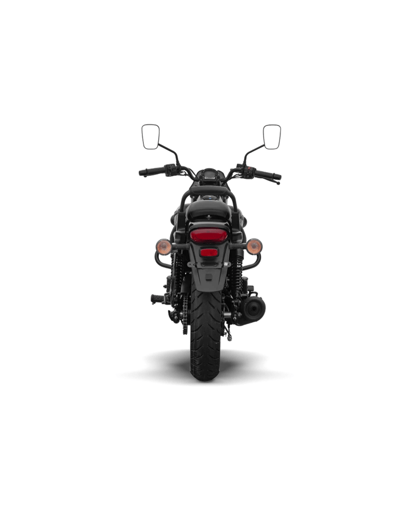 Bajaj Avenger Street 220 - Image 6