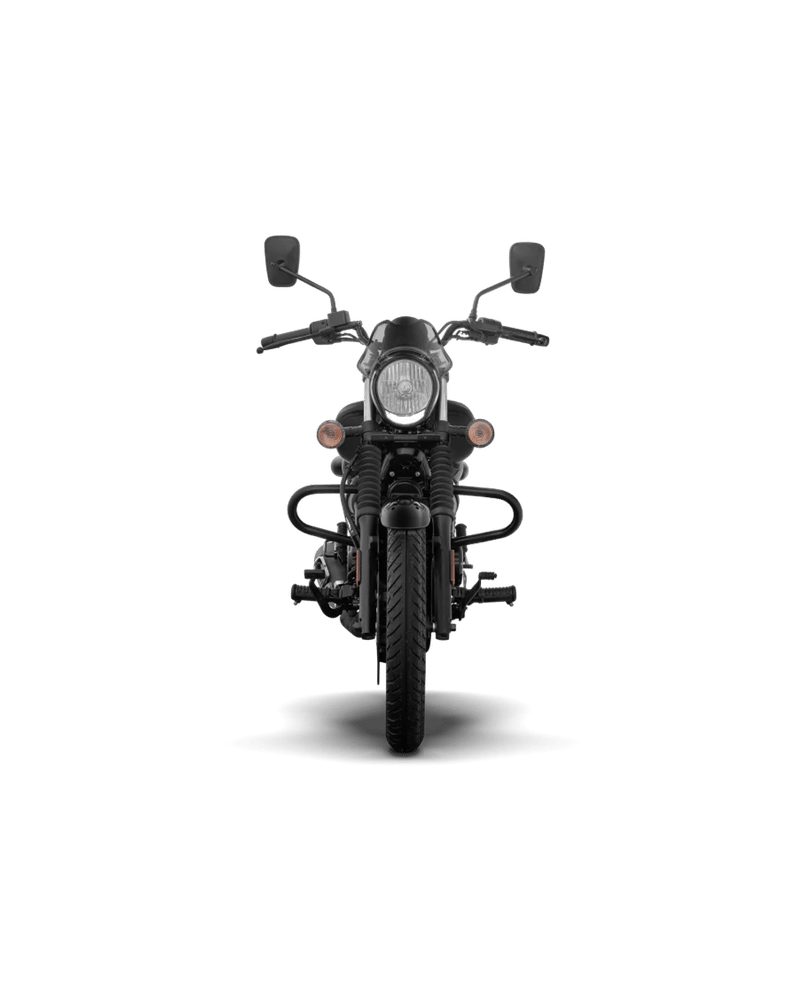 Bajaj Avenger Street 220 - Image 2