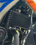 Bajaj Pulsar  N250 image