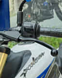 Bajaj Pulsar  N250 image