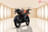 Pulsar NS 125 image  Pulsar NS 125 image