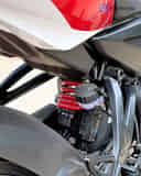 Rear Shock Absorbers