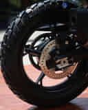 Rear Disc Brake