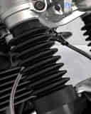 Rear Shock Absorbers