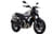 Scrambler 1100 image  Scrambler 1100 image