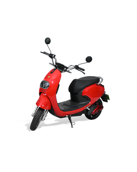 Evolet Pony